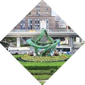 其他綠植租擺