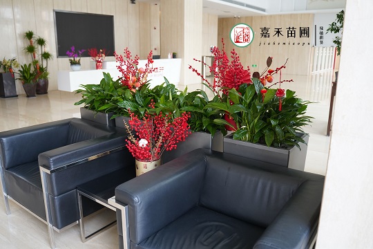 西安銀行花卉綠植租賃裝飾，展示銀行空間的另一種可能