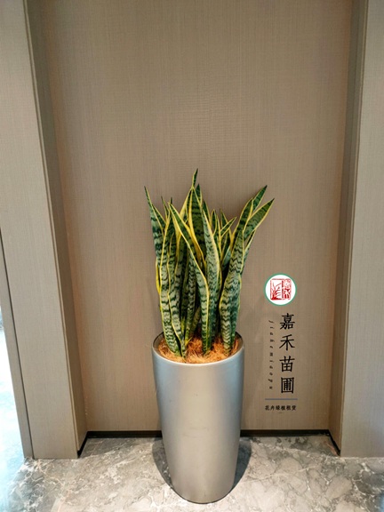 微信圖片_20231008113729.jpg